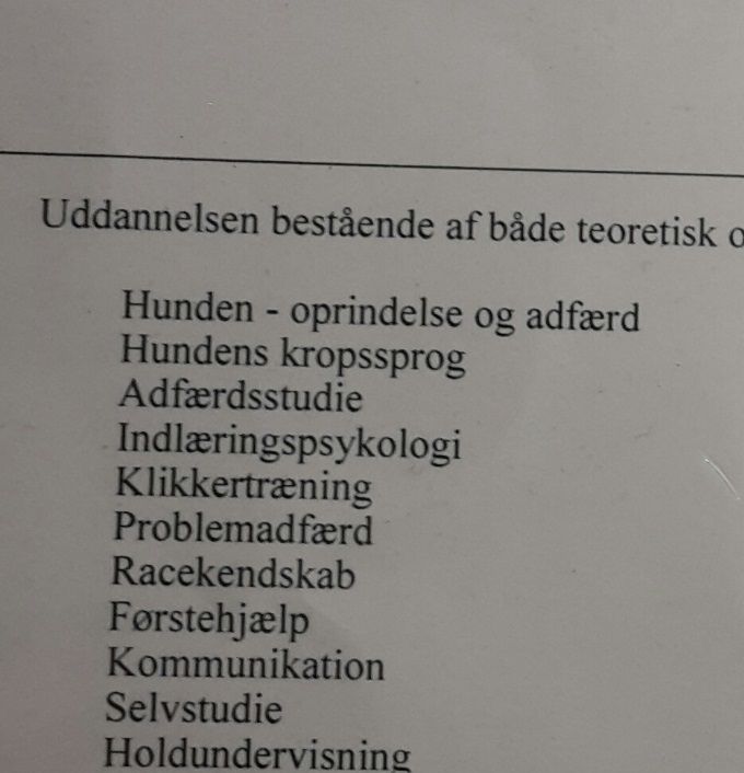 Hundetræner/instruktør uddannelses kompetencer 